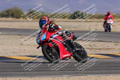 media/Dec-15-2023-Apex Assassins (Fri) [[91f19fb1c7]]/Trackday 2/Session 4 (Turn 16)/